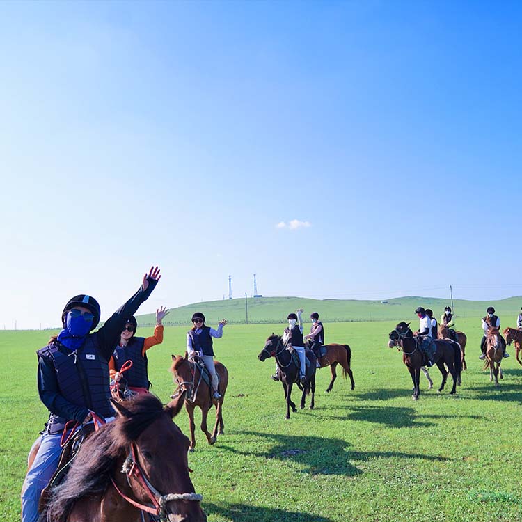 At binme eğitimi Case